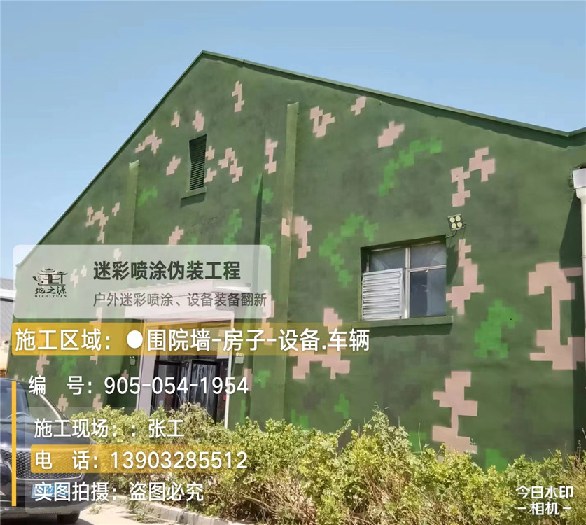 宿迁外墙数码迷彩漆施工报价清单（100㎡标准墙面测算）